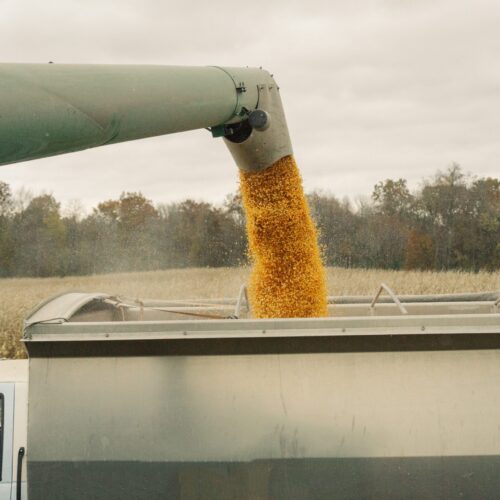 combine-auger-emptying-corn-into-a-truck-2022-11-16-00-05-15-utc